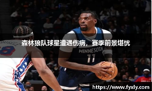 森林狼队球星遭遇伤病，赛季前景堪忧