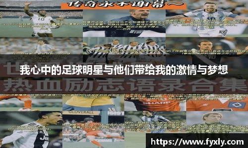 我心中的足球明星与他们带给我的激情与梦想