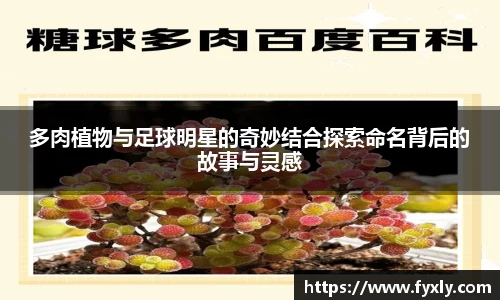 多肉植物与足球明星的奇妙结合探索命名背后的故事与灵感